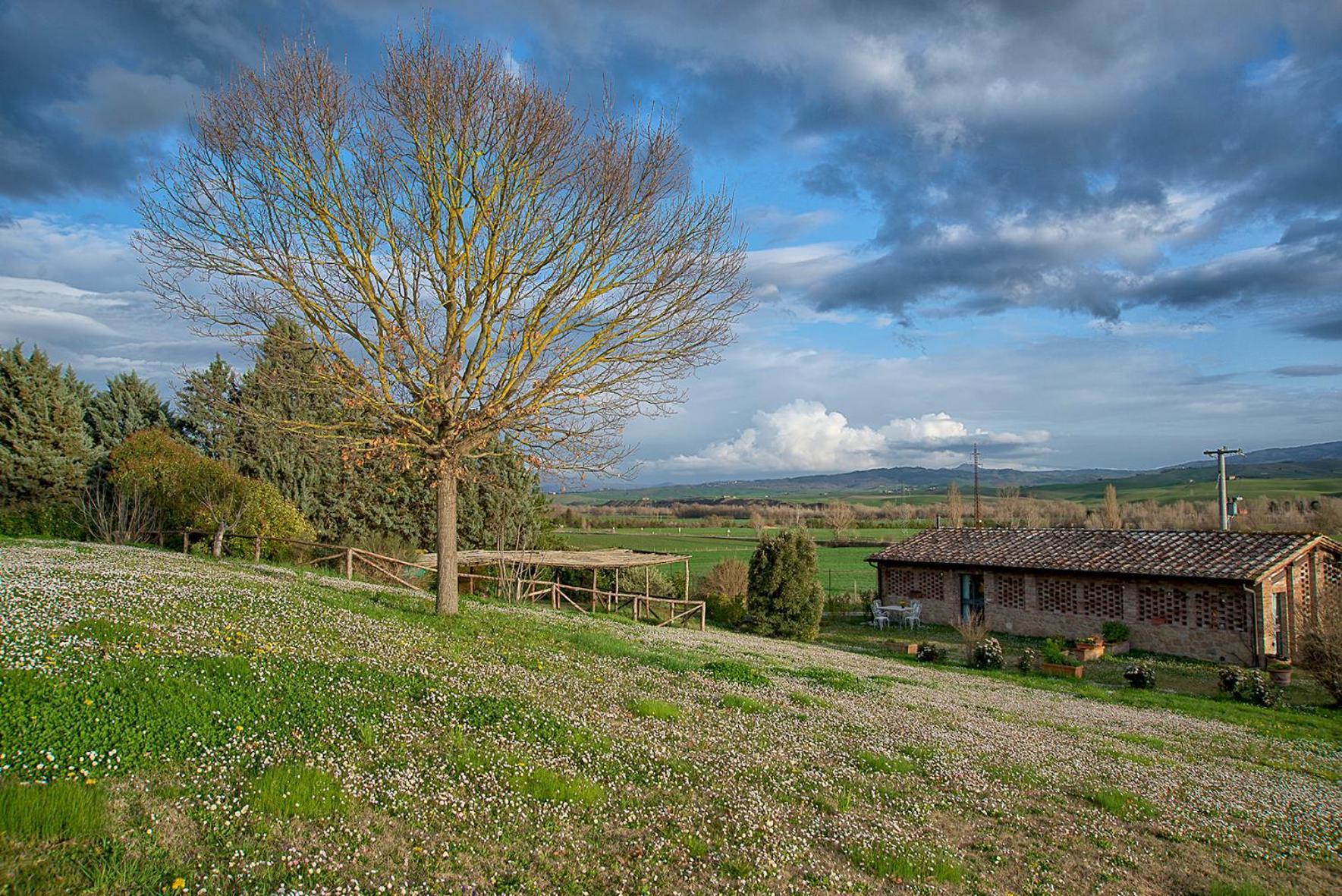 Agriturismo Le Sorbelle D'Orcia Con Piscina Pienza Eksteriør bilde