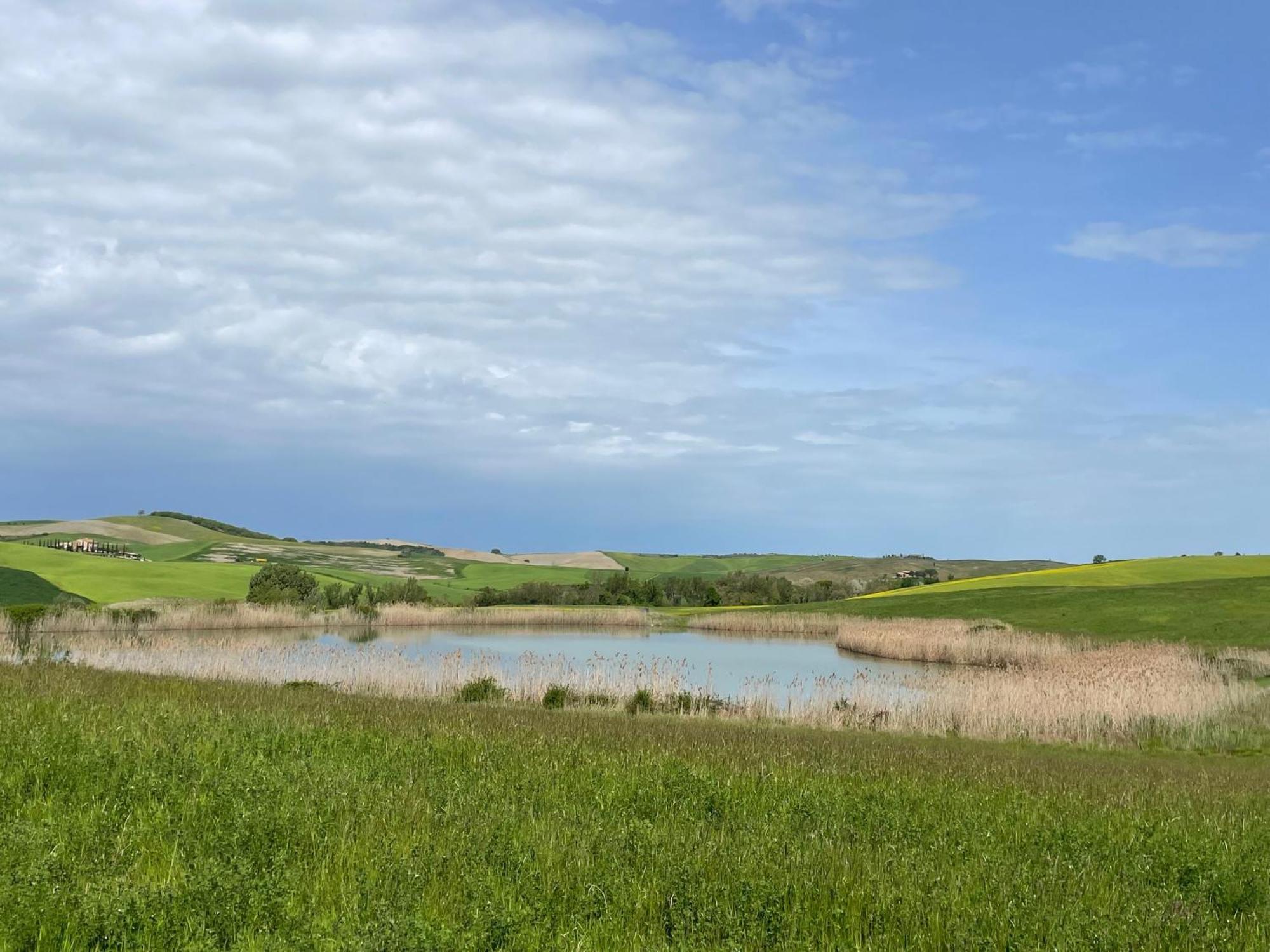Agriturismo Le Sorbelle D'Orcia Con Piscina Pienza Eksteriør bilde